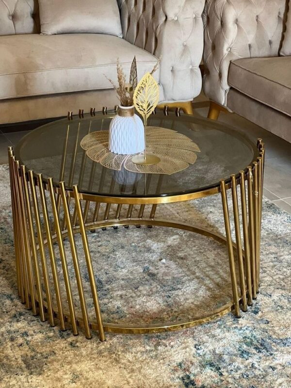 IFCT 03 Luxurious PVD Coated Center Table